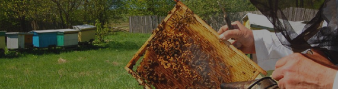 Beekeeping Protective Wear